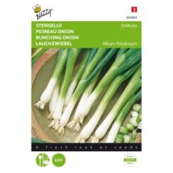 Stengelui Ishikura - Allium Fistulosum