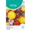 Strobloem Mix - Helichrisum Bracteatum -Gardena Winkel strobloem mix helichrisum bracteatum 1646840362 1092 600