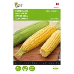 Suikermaïs Tasty Sweet F1 - Zea Mays