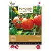 Tomaten Pomodori Tigerella - Lycopersicon Esculentum -Gardena Winkel tomaten pomodori tigerella lycopersicon esculentum 1646840338 583 600