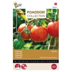 Tomaten Pomodori Tigerella - Lycopersicon Esculentum
