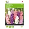 Valse Ridderspoor - Delphinium Ajacis -Gardena Winkel valse ridderspoor delphinium ajacis 1646840326 343 600