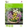 Viola Cornuta Bambini Gemengd -Gardena Winkel viola cornuta bambini gemengd 1646840335 527 600