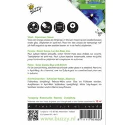 Viola Wittrockiana Alpenmeer -Gardena Winkel viola wittrockiana alpenmeer 1646840335 520 600