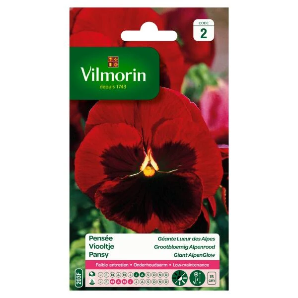 Viooltje Alpen Reuzen Rood - Viola × Wittrockiana 3 Viooltje Alpen Reuzen Rood - Viola × Wittrockiana