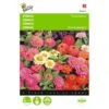 Zinnia Thumbelina Mix - Zinnia Elegans -Gardena Winkel zinnia thumbelina mix zinnia elegans 1646840333 471 600