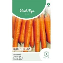 Zomerwortel Nantes - 10 G Daucus Carota