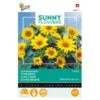 Zonnebloem Pacino Gold - Helianthus (Sunflowers) -Gardena Winkel zonnebloem pacino gold helianthus sunflowers 1646840316 109 600