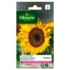 Zonnebloem Sunspot Laag - Helianthus Annuus -Gardena Winkel zonnebloem sunspot laag helianthus annuus 1646839528 119 600