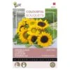 Zonnebloemen Sunlit Days -Gardena Winkel zonnebloemen sunlit days 1646840390 1642 600