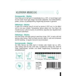 Zonnewende Marine - Heliotropium Peruvianum -Gardena Winkel zonnewende marine heliotropium peruvianum 1646840362 1101 600