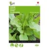 Zuring - Rumex Acetosa 1 Zuring - Rumex Acetosa -Gardena Winkel zuring rumex acetosa 1646840314 67 600