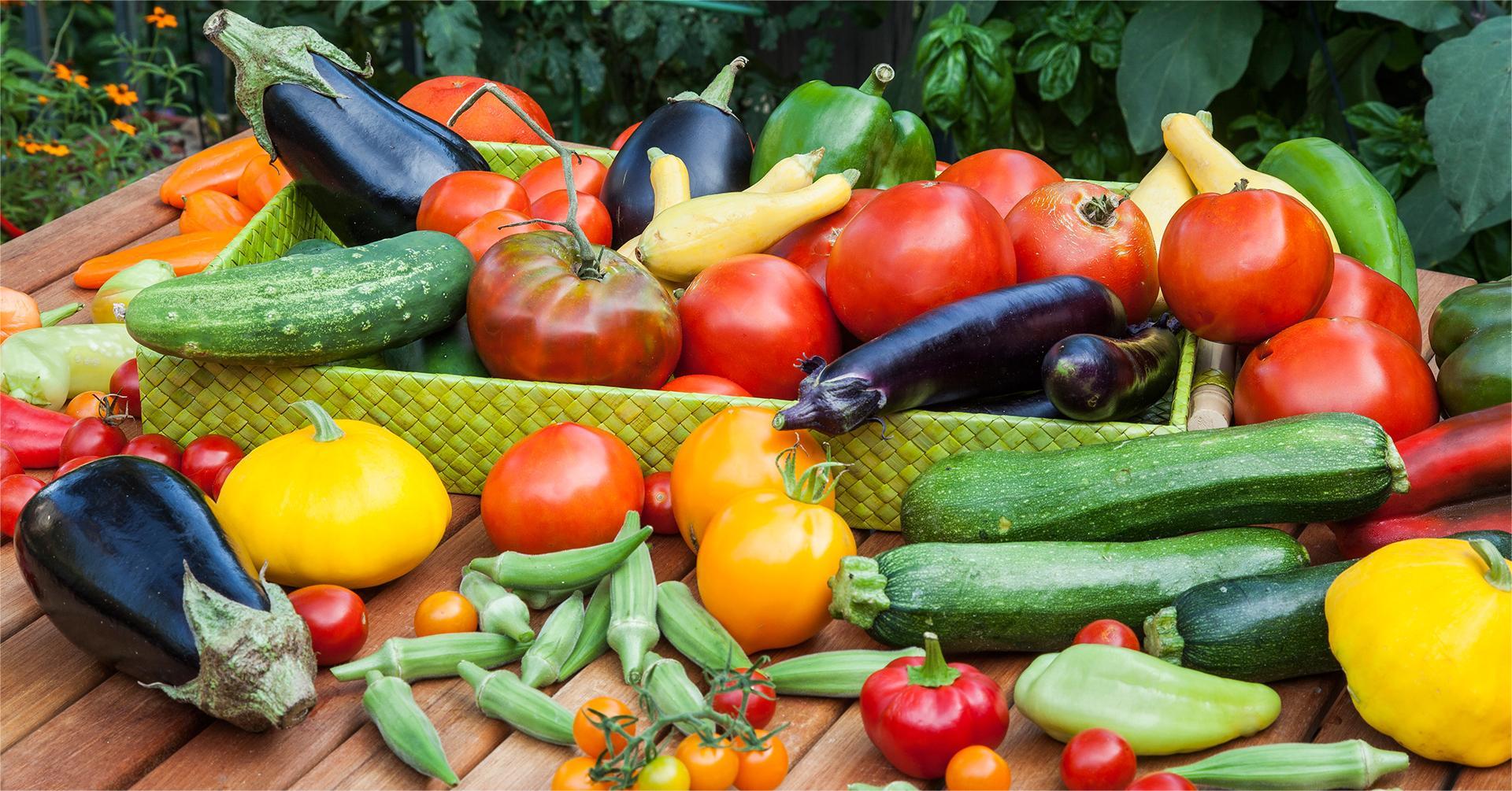 Voorkant -Gardena Winkel Oogst op tafel