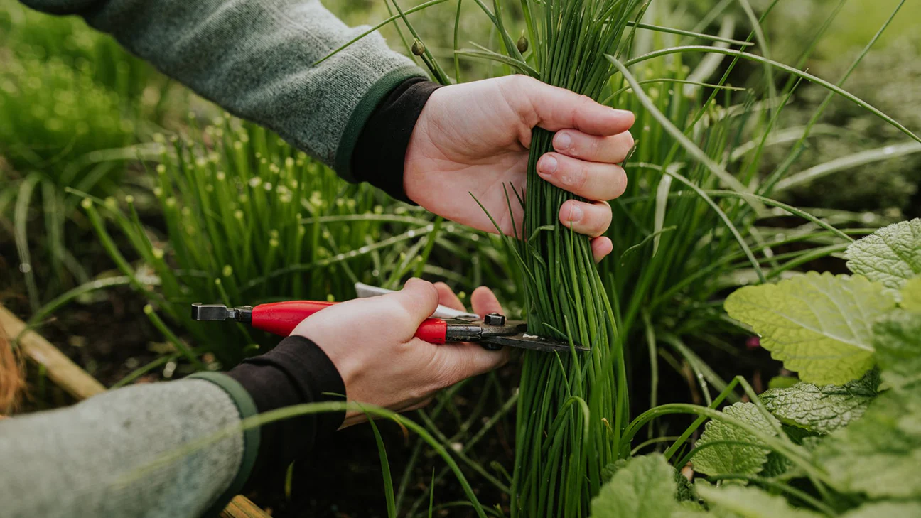 Voorkant -Gardena Winkel kruiden
